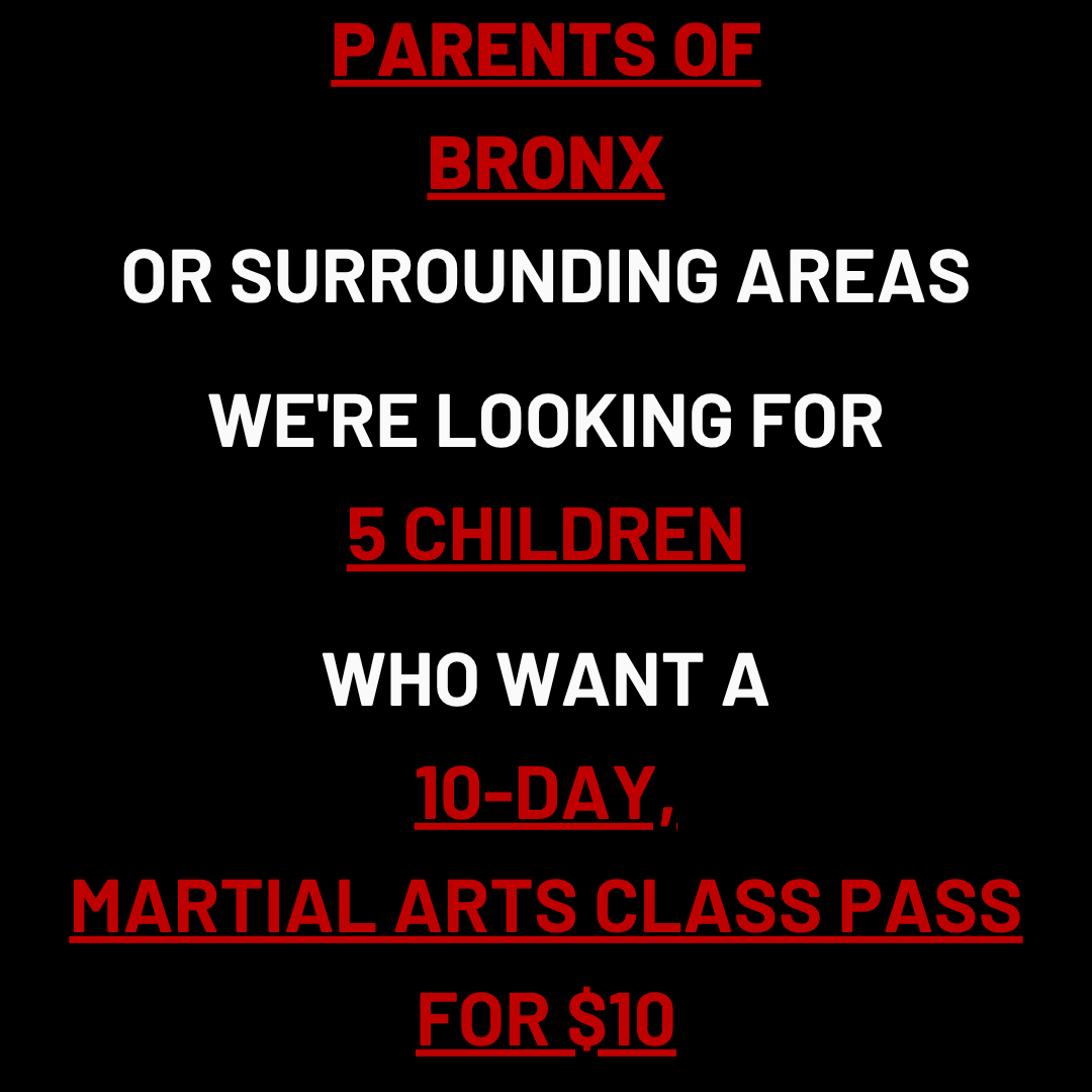 United BlackBelt Martial Arts Facebook ad: Want a 10-Day, Kids Martial Arts Class Pass For $10?