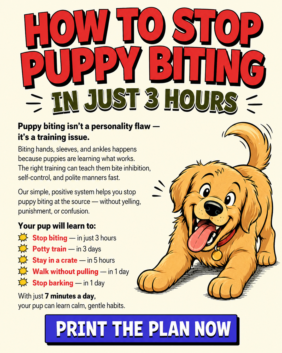 Ben Your Puppy Trainer Facebook ad