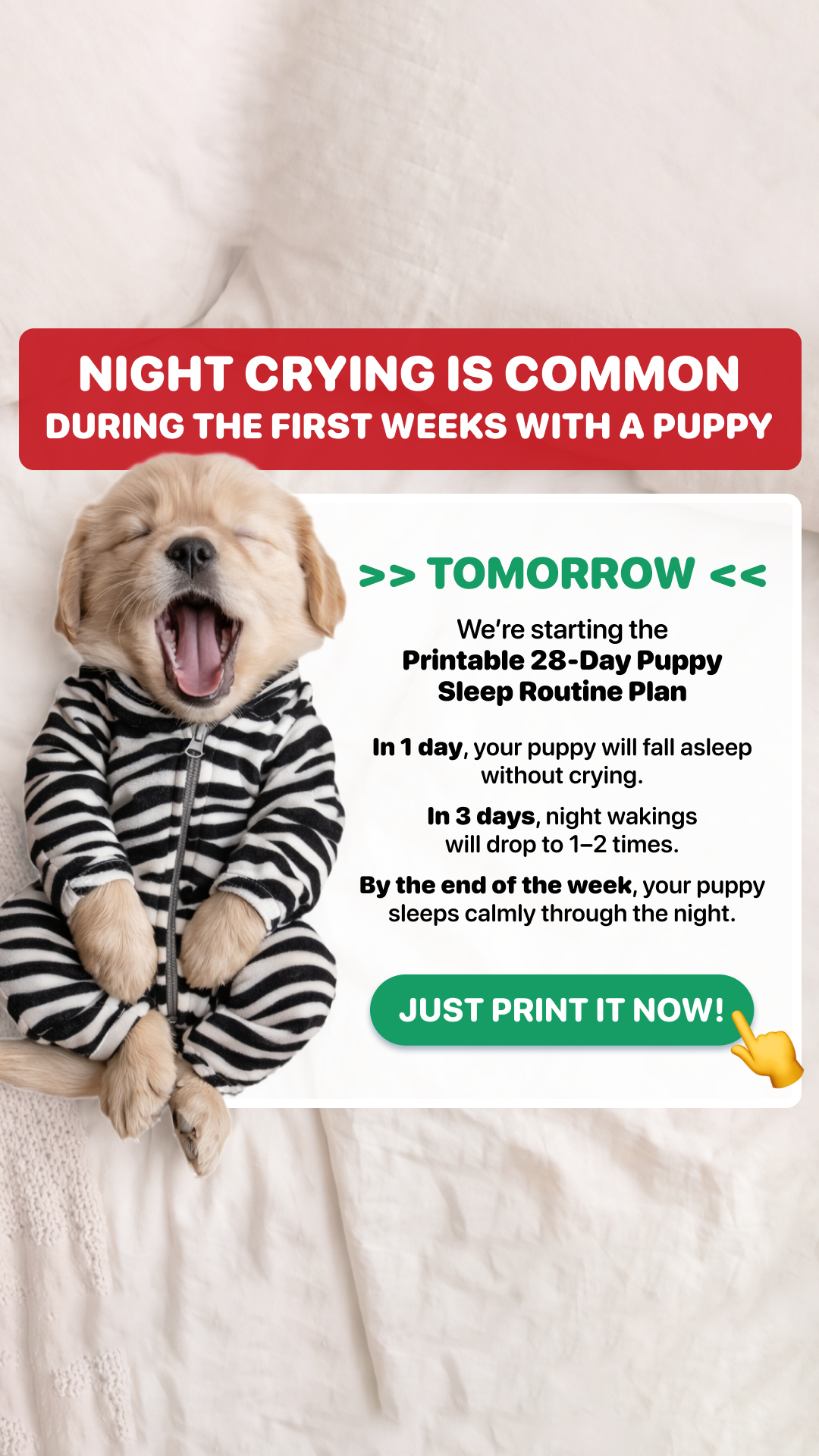 Woofz - Puppy Training Facebook ad