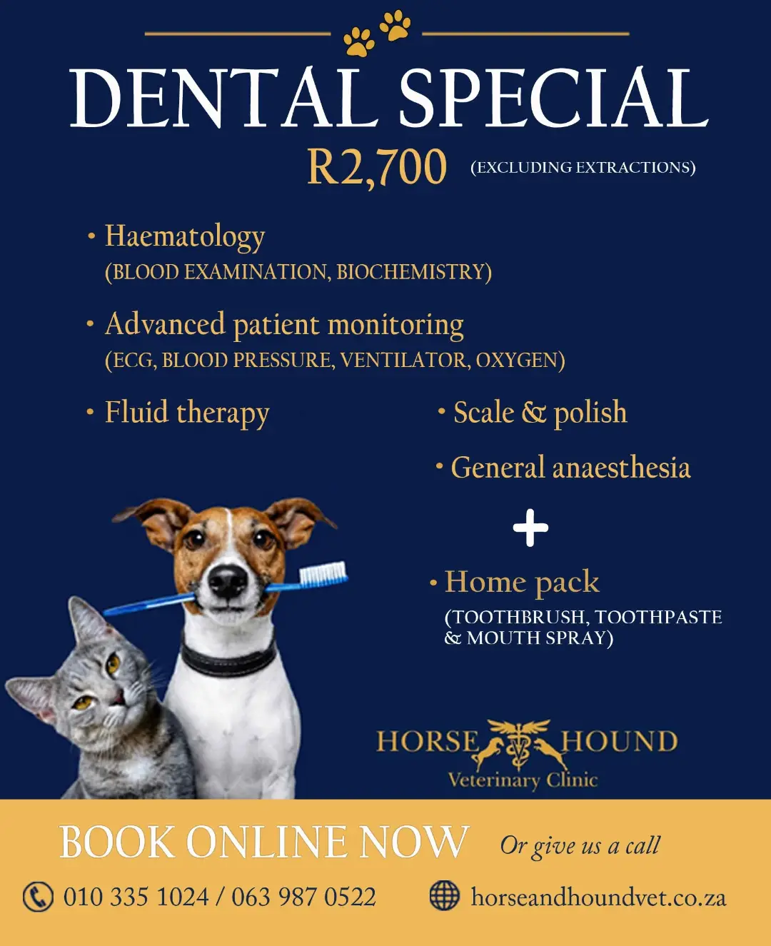 Horse and Hound Veterinary Clinic Facebook ad: Your pet’s dental health is about more than…