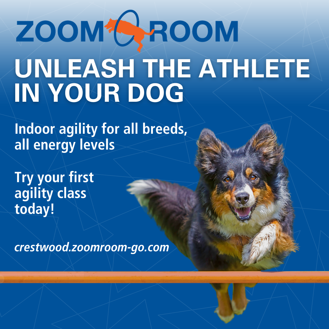 Zoom Room Dog Training Facebook ad