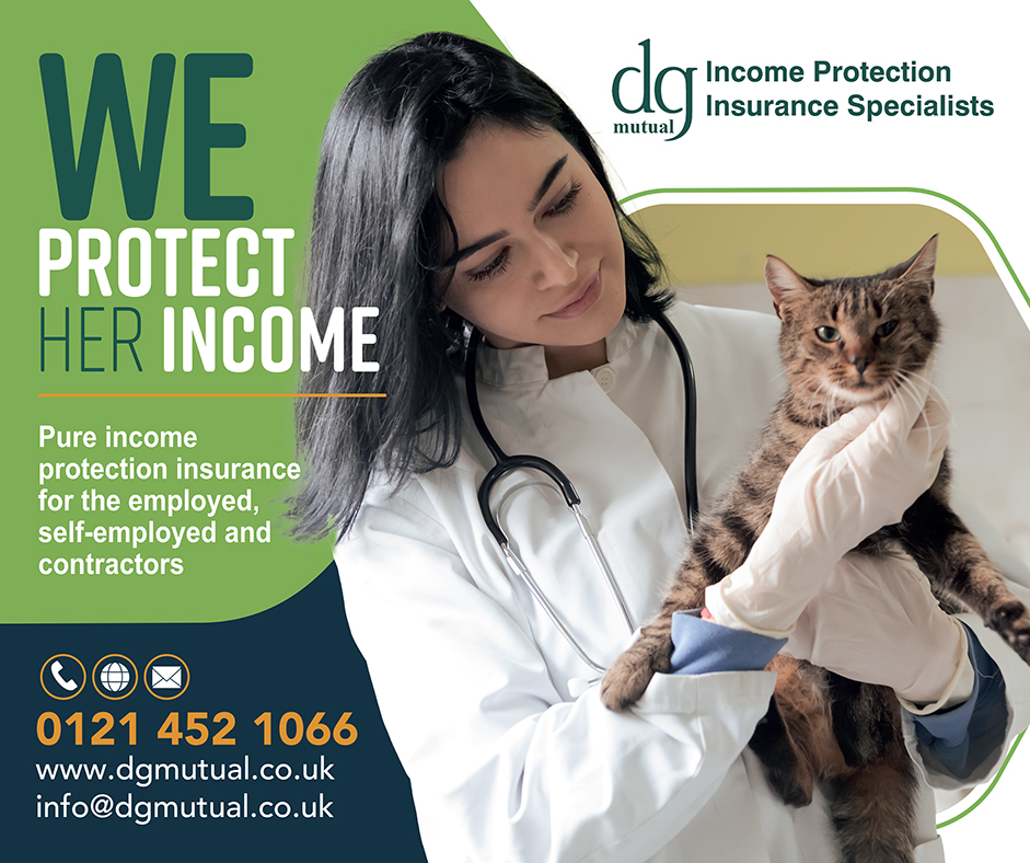 dg mutual Facebook ad: Start protecting your income now