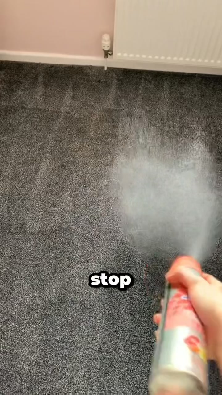 CloBombs - #1 Odor Eliminator in Market Facebook ad: A Home That Smells Like Home, Not Cat