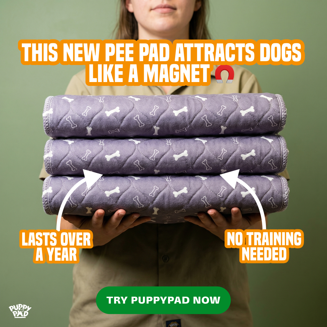 PuppyPad Facebook ad