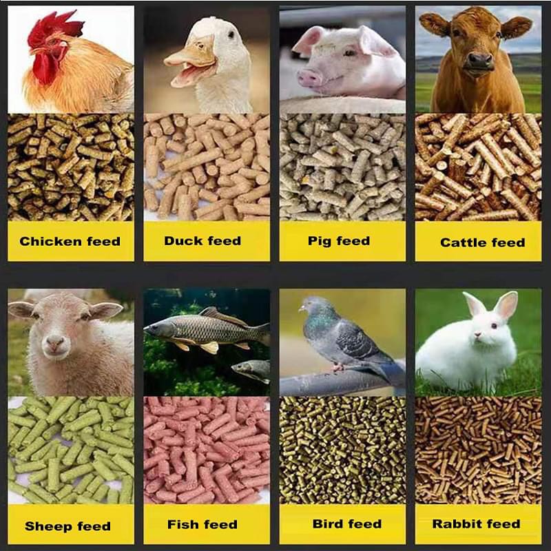 Henan Zhoutuo Engineering Technology Co.,Ltd Facebook ad: 1-3TPH animal feed machine with 25 years experience!