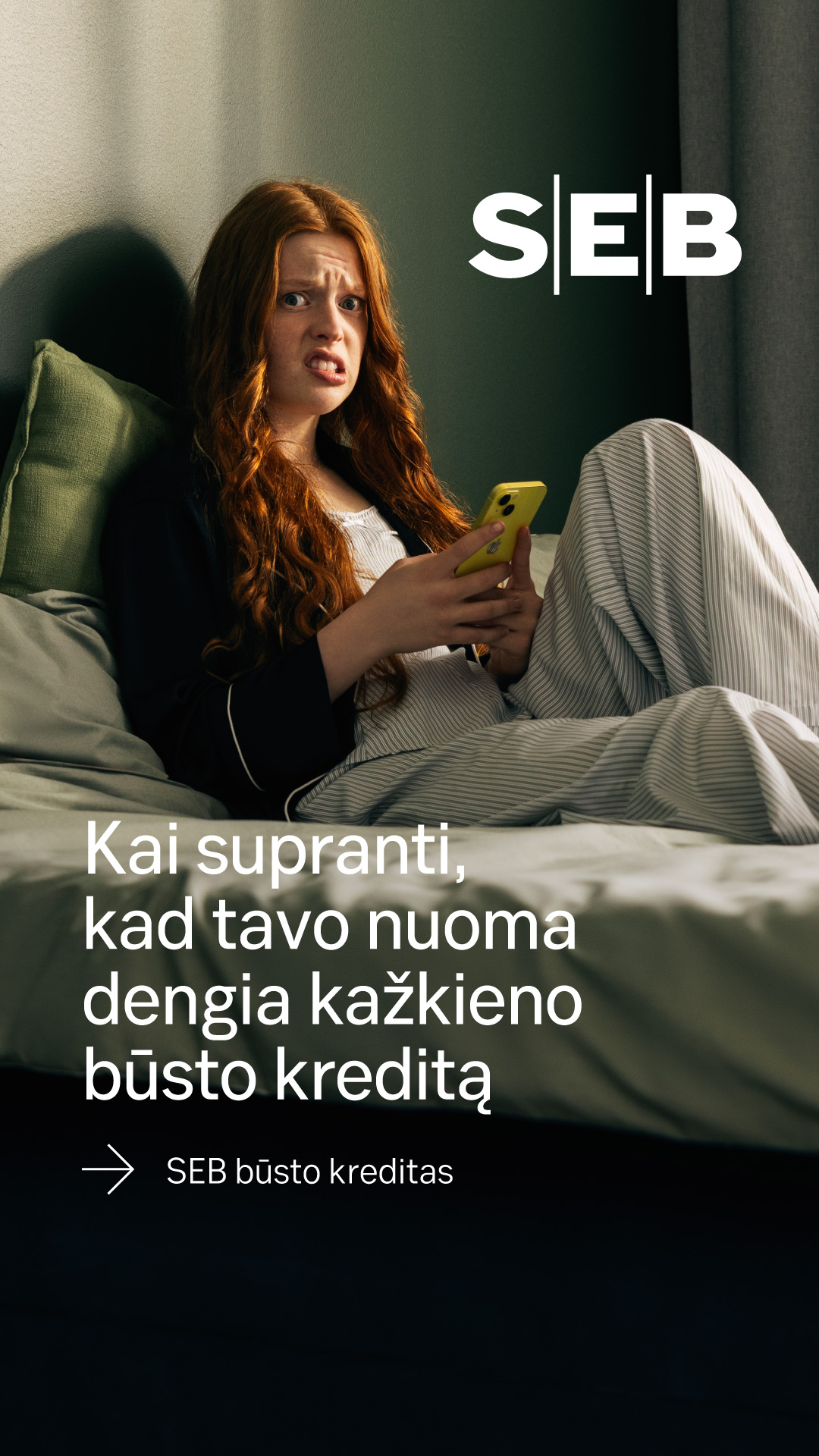 SEB Lietuvoje Facebook ad