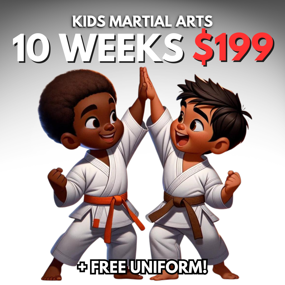 Chozen Martial Arts Academy Facebook ad