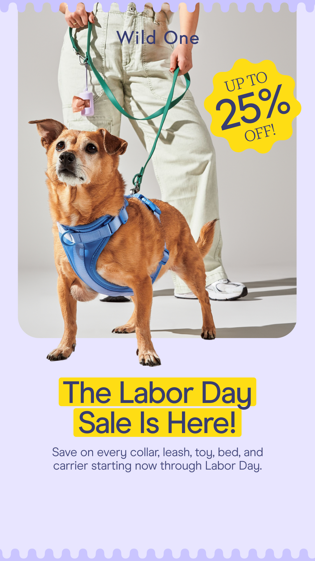 Wild One Facebook ad