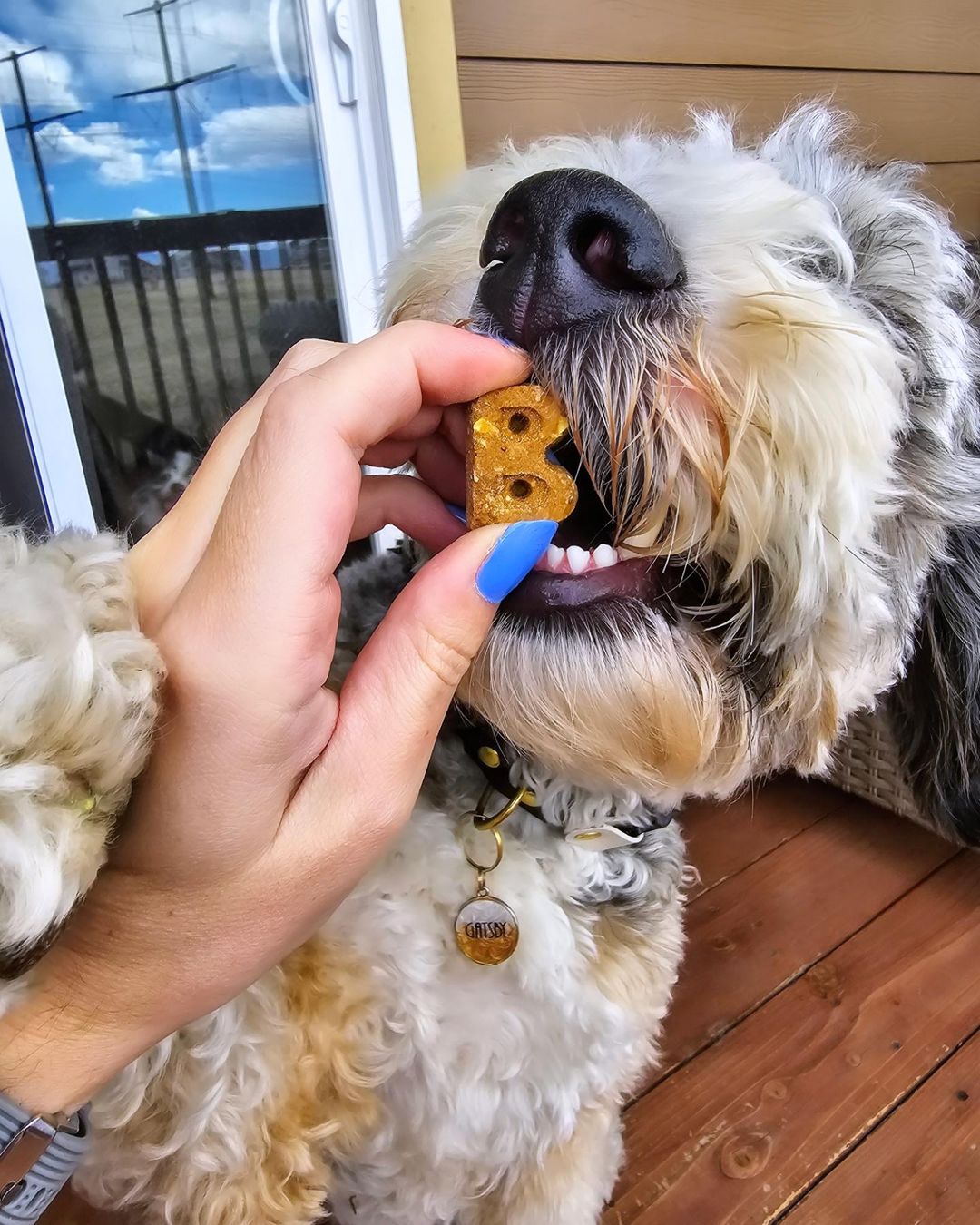 Bocce's Bakery Facebook ad