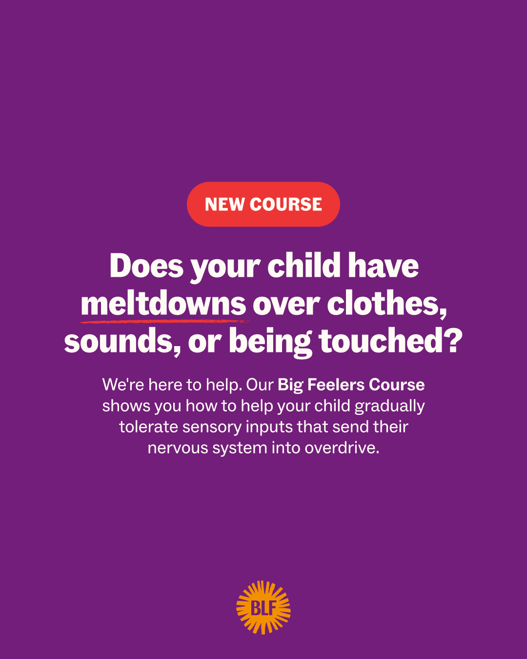 Big Little Feelings Facebook ad