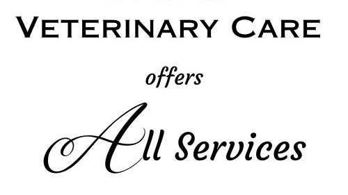 Straight Arrow Veterinary Care - Dr. Kristen Ficzycz, DVM Facebook ad