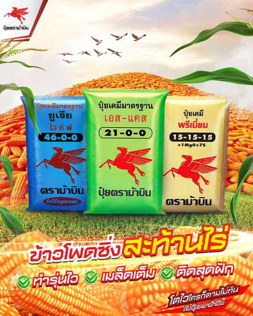 ปุ๋ยตราม้าบิน Facebook ad: ปุ๋ยตราม?