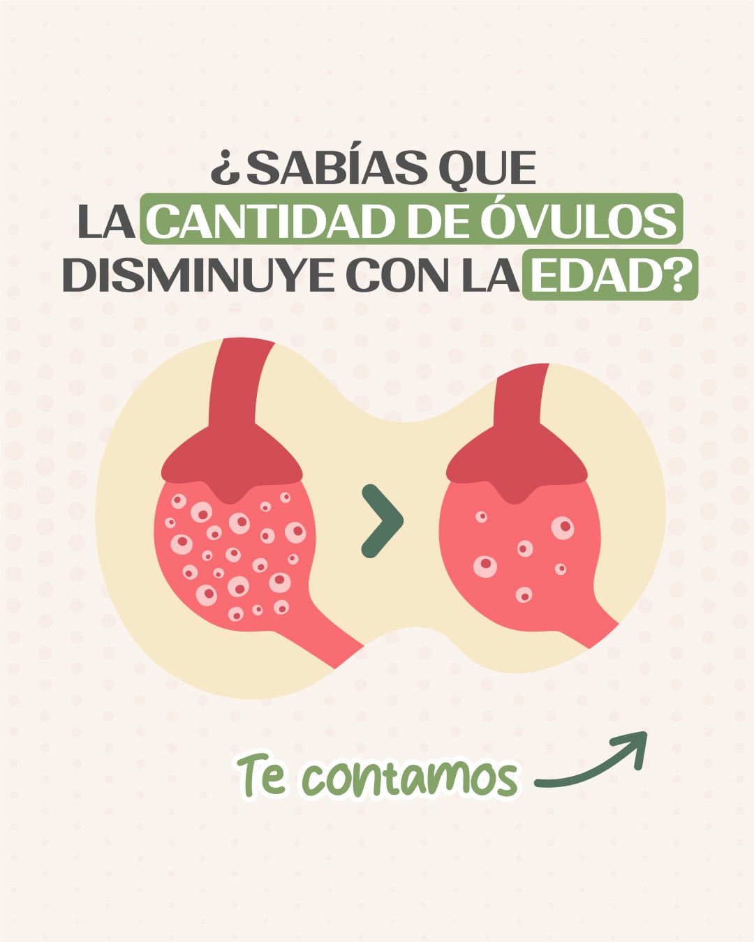Fertilmente.latam Facebook ad: Sabemos que la fertilidad femenina no es infinita…