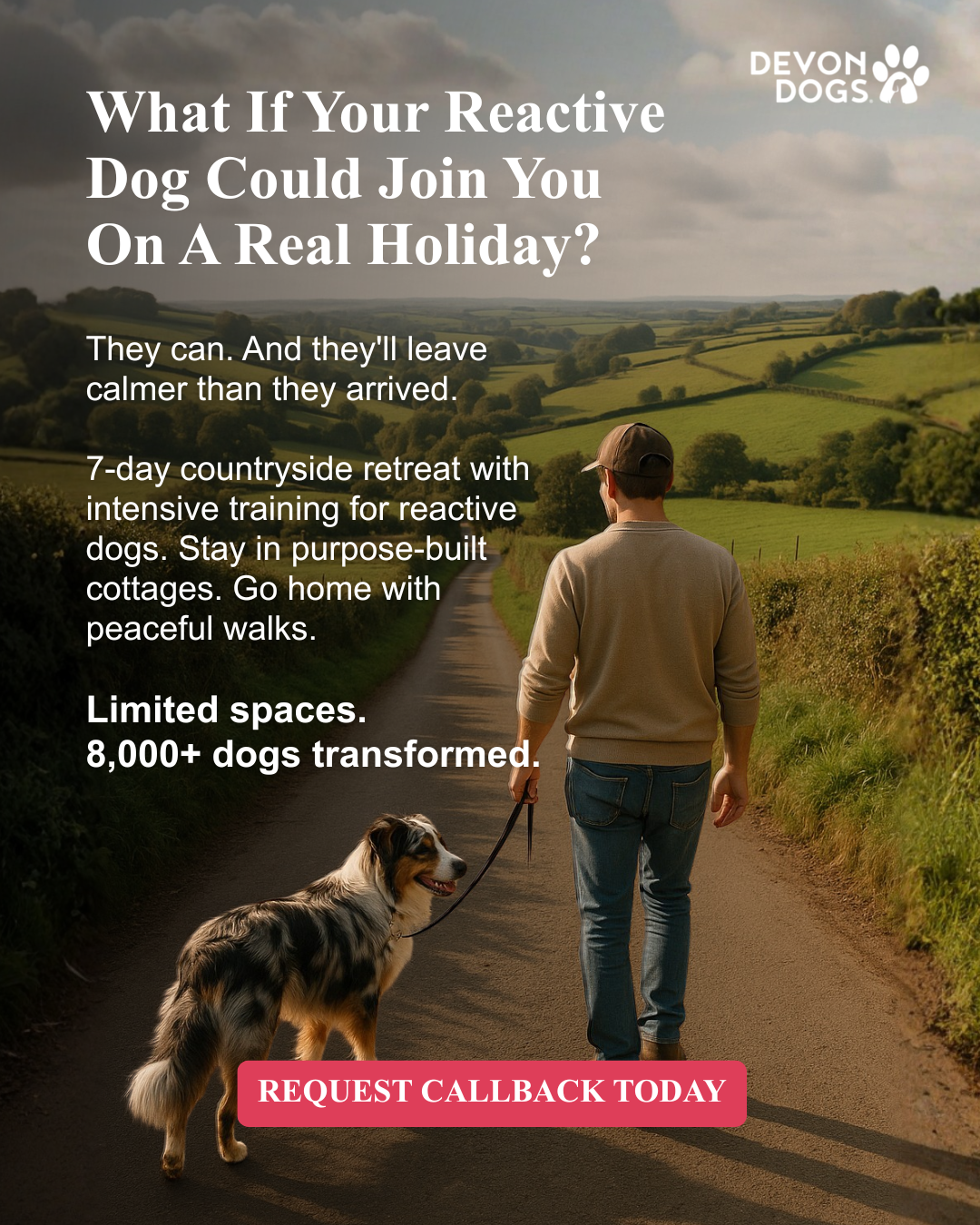 absoluteDOGS Facebook ad