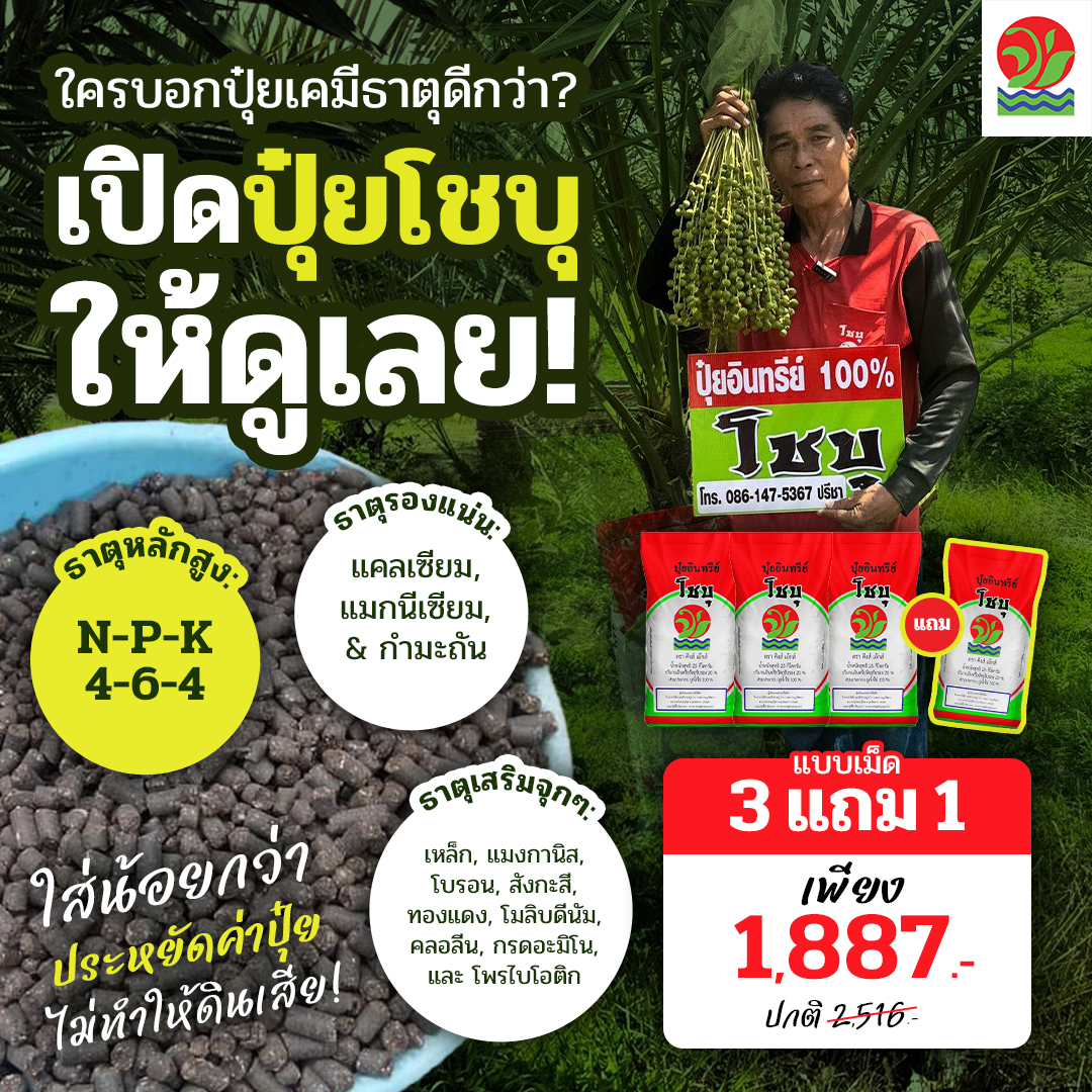 โชบุ ปุ๋ยที่ดีที่สุด เพจบริษัท Facebook ad