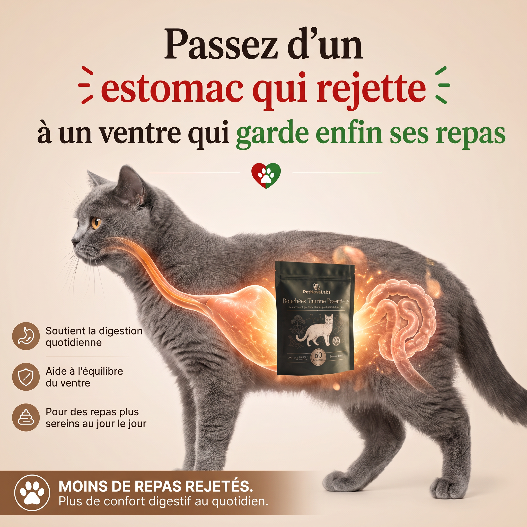 Sophie Martin Facebook ad: STOP: ne changez pas encore ses croquettes