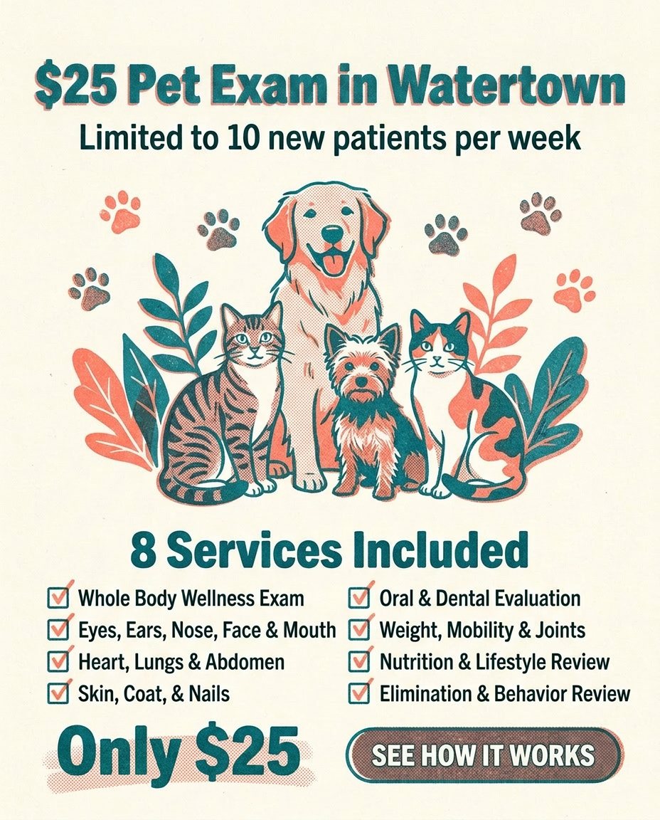 Gentle Healer Pet Clinic Facebook ad: Watertown Pet Exam for $25