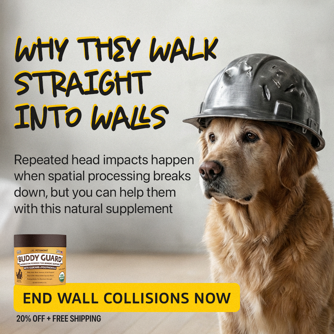 Petsmont Facebook ad