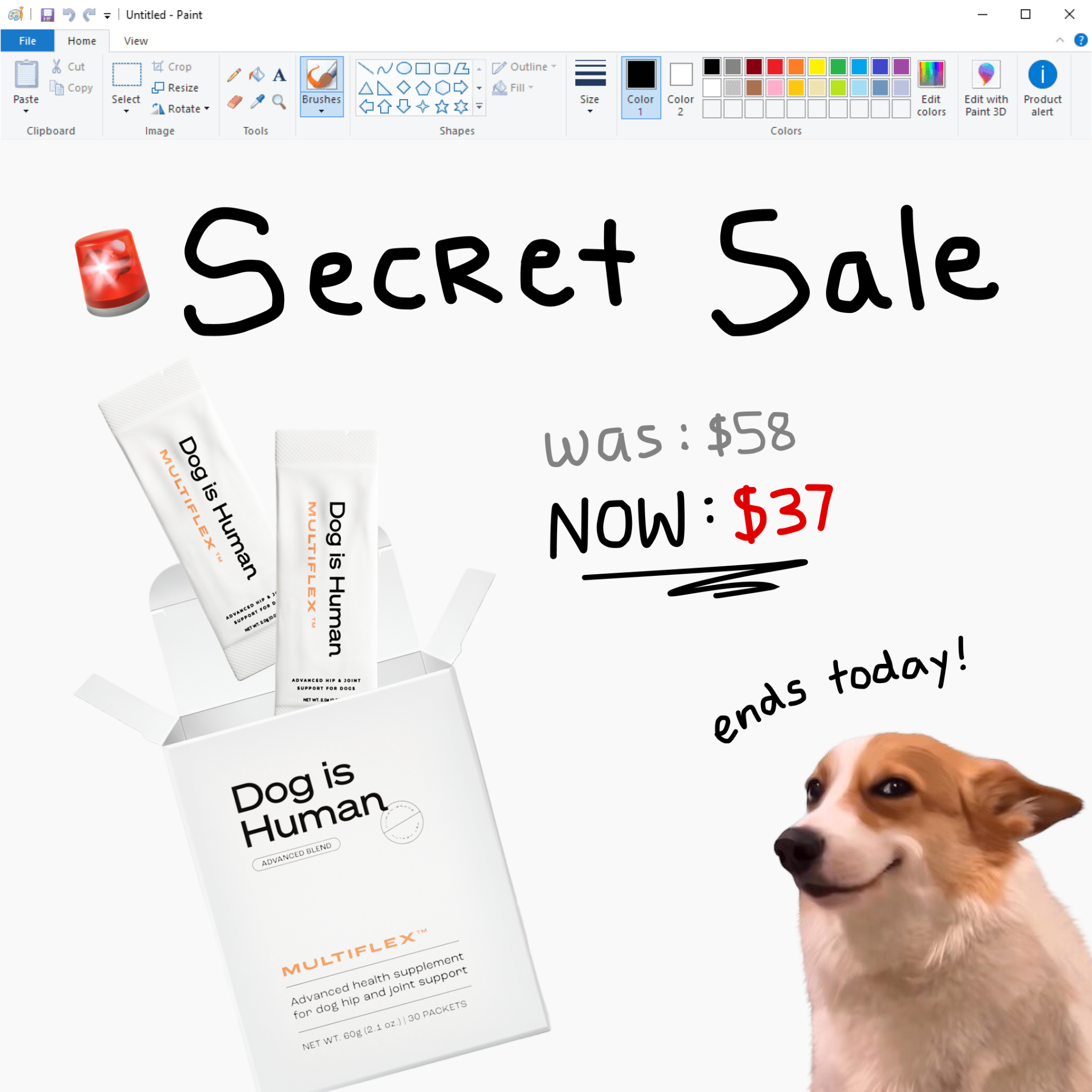 Dog is Human Facebook ad
