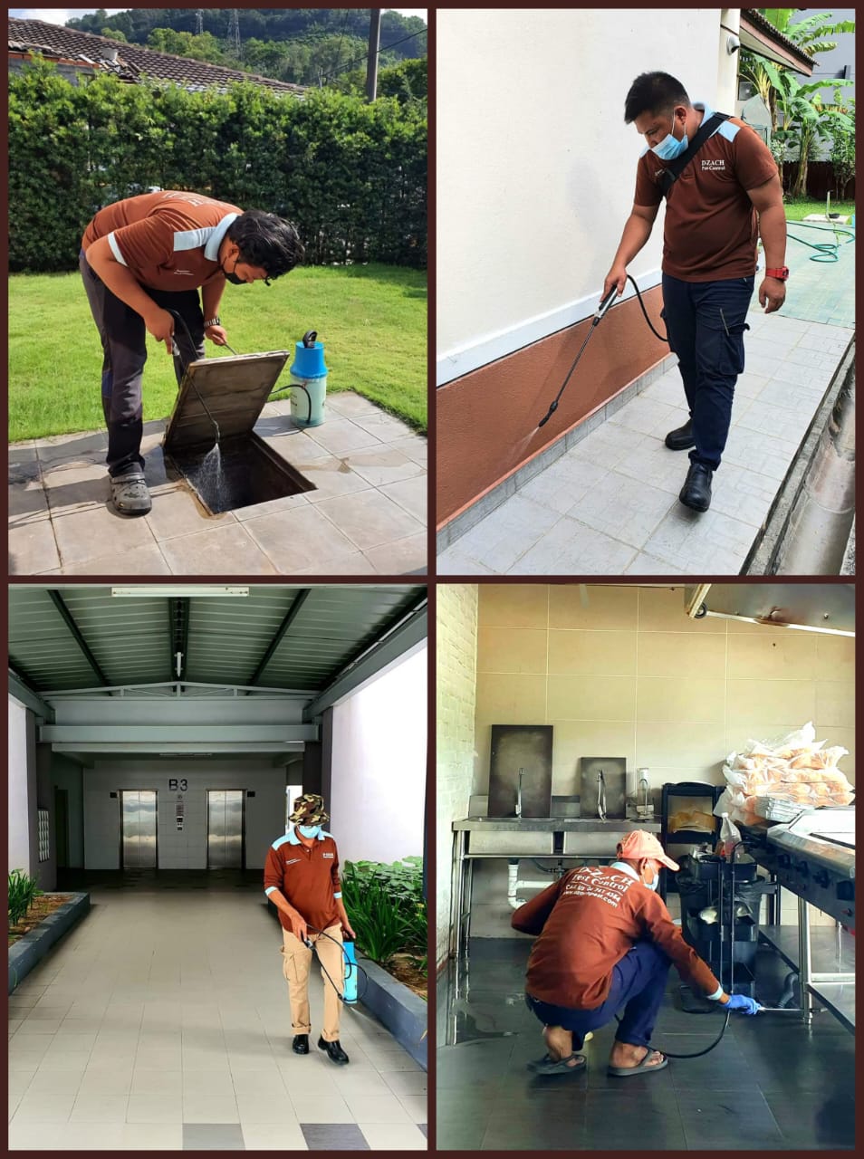 D-Zach Pest Control Facebook ad: General Pest Control