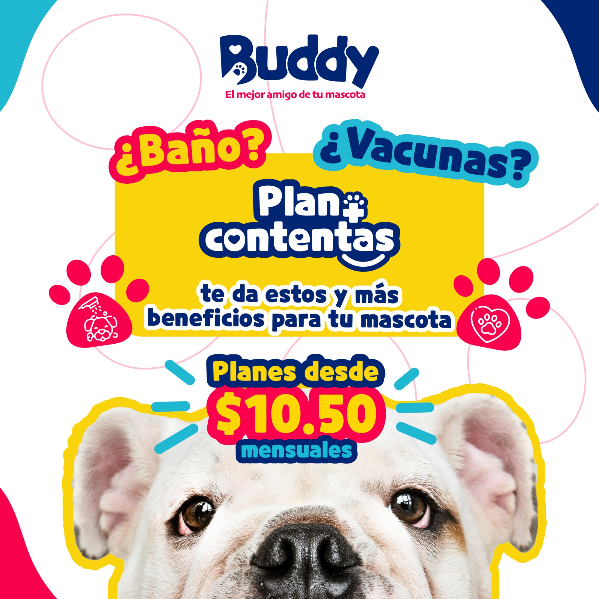 Buddy Assist Facebook ad: ¡Cuida a tu mejor amigo!