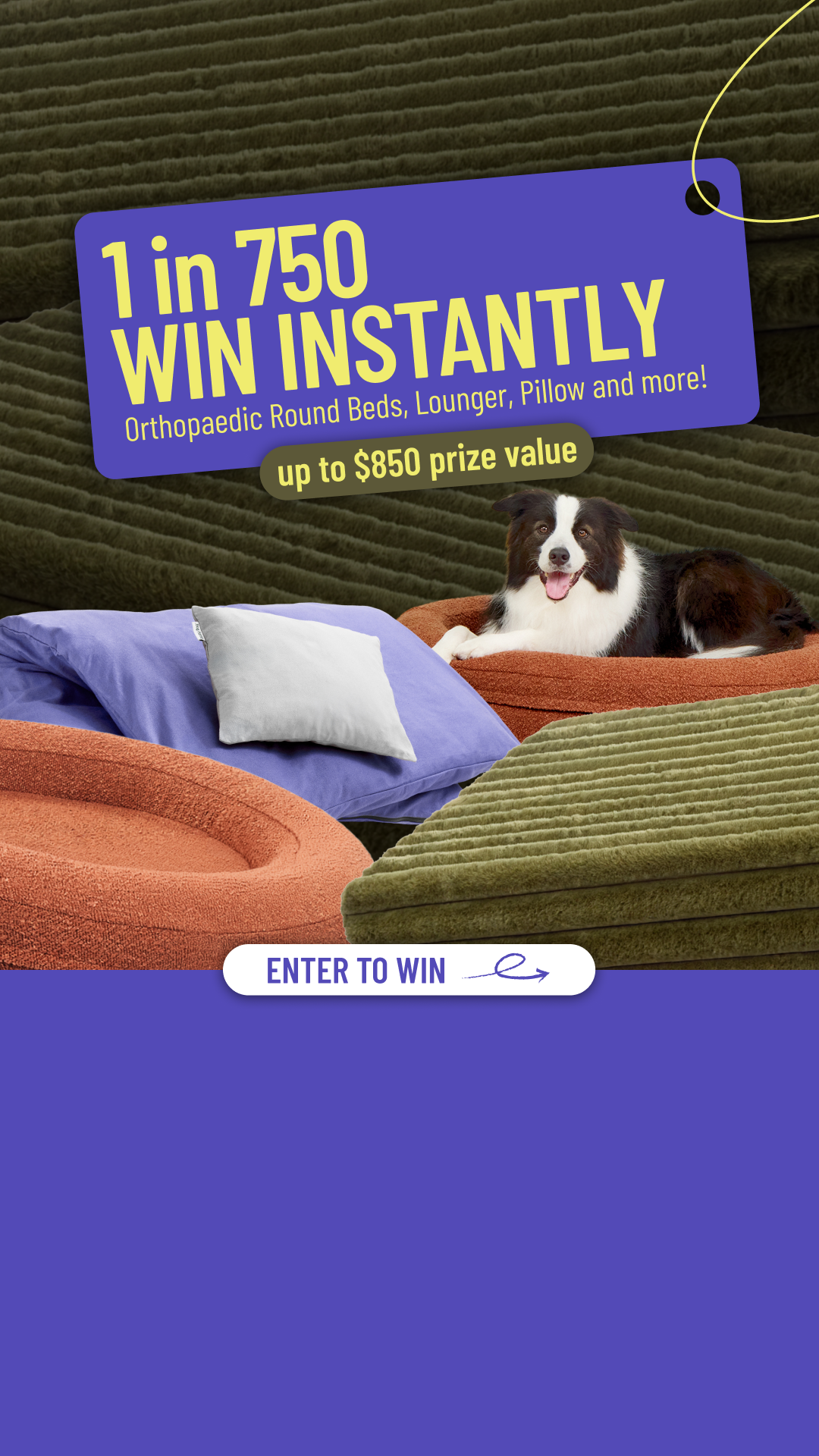 Dazy Dog Facebook ad from Jun 15, 2026