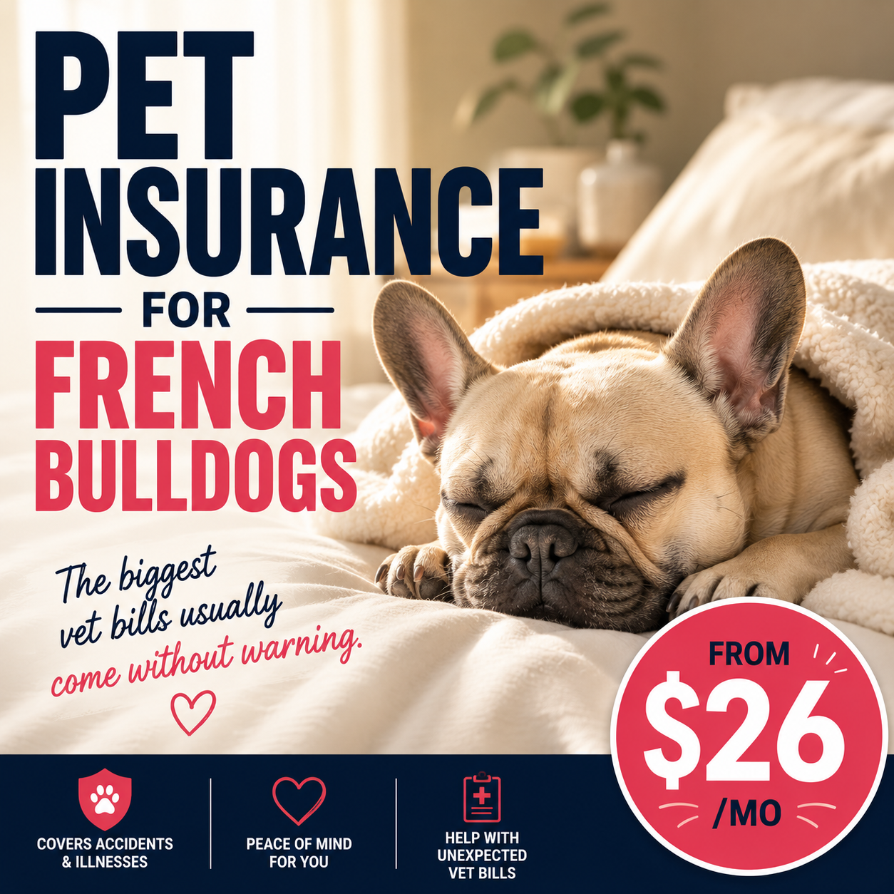 All Pets Covered Facebook ad