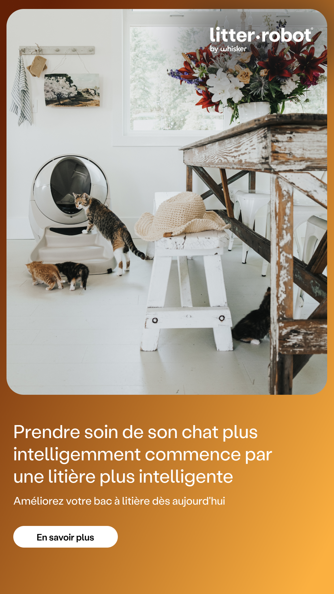 Litter-Robot by Whisker Facebook ad