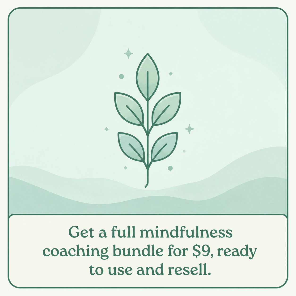 Evelyn Weiss Coaching Facebook ad