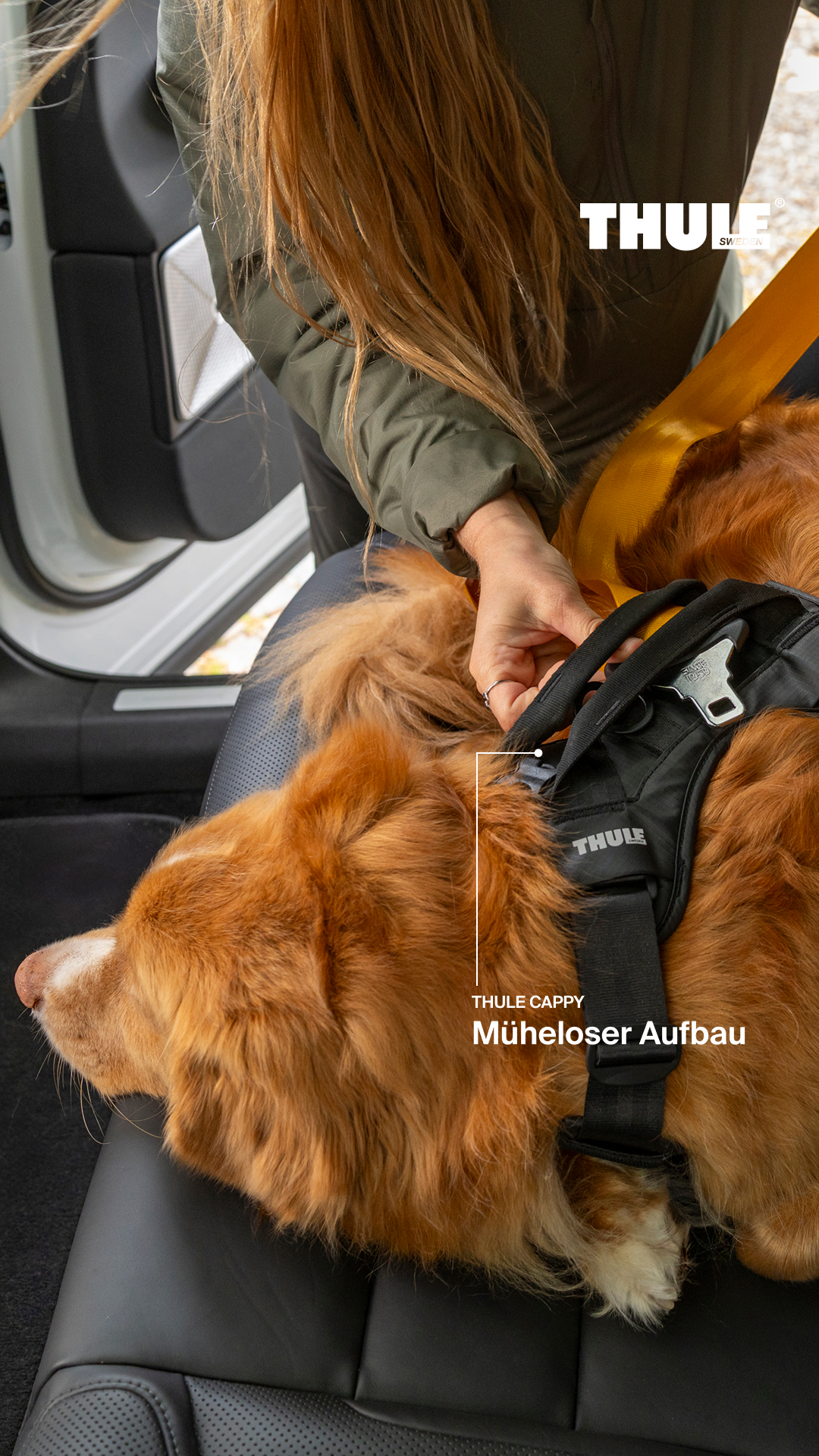 Thule Facebook ad