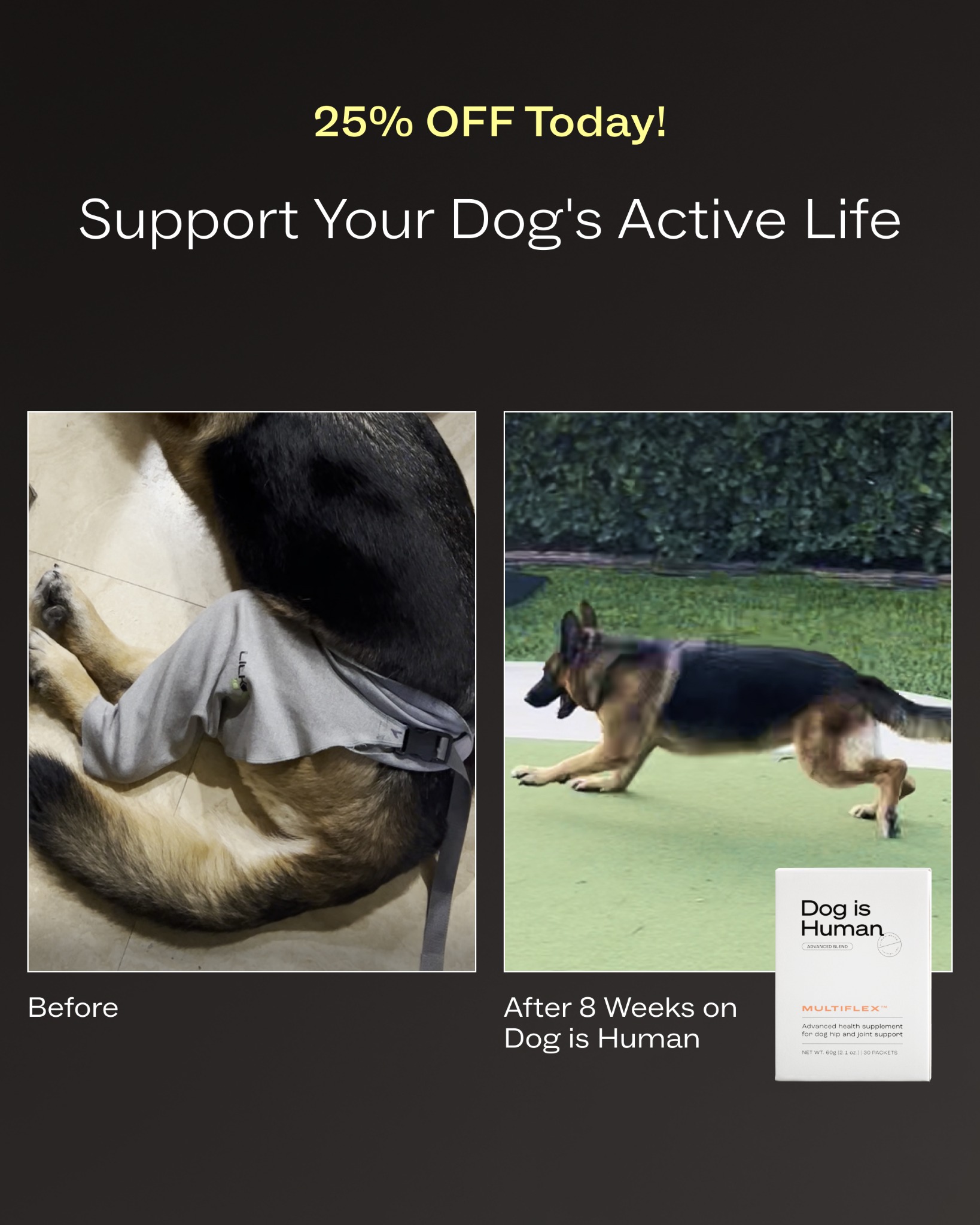 Dog is Human Facebook ad