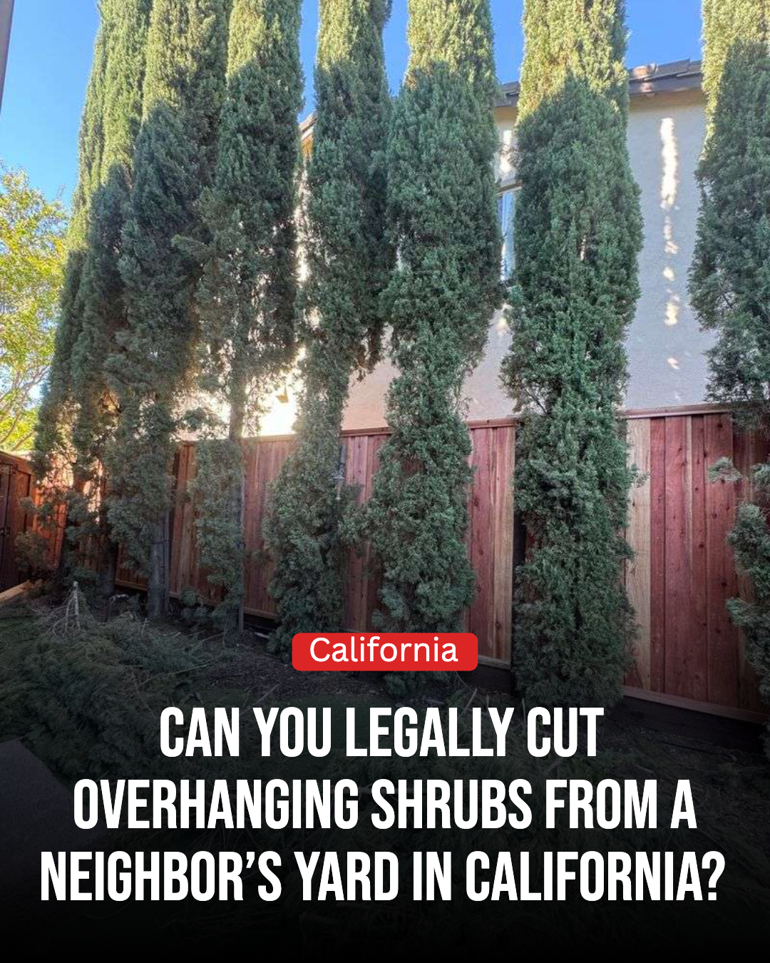 California Gardener Facebook ad: Is It Legal In California To Cut Overhanging Shrubs From A…