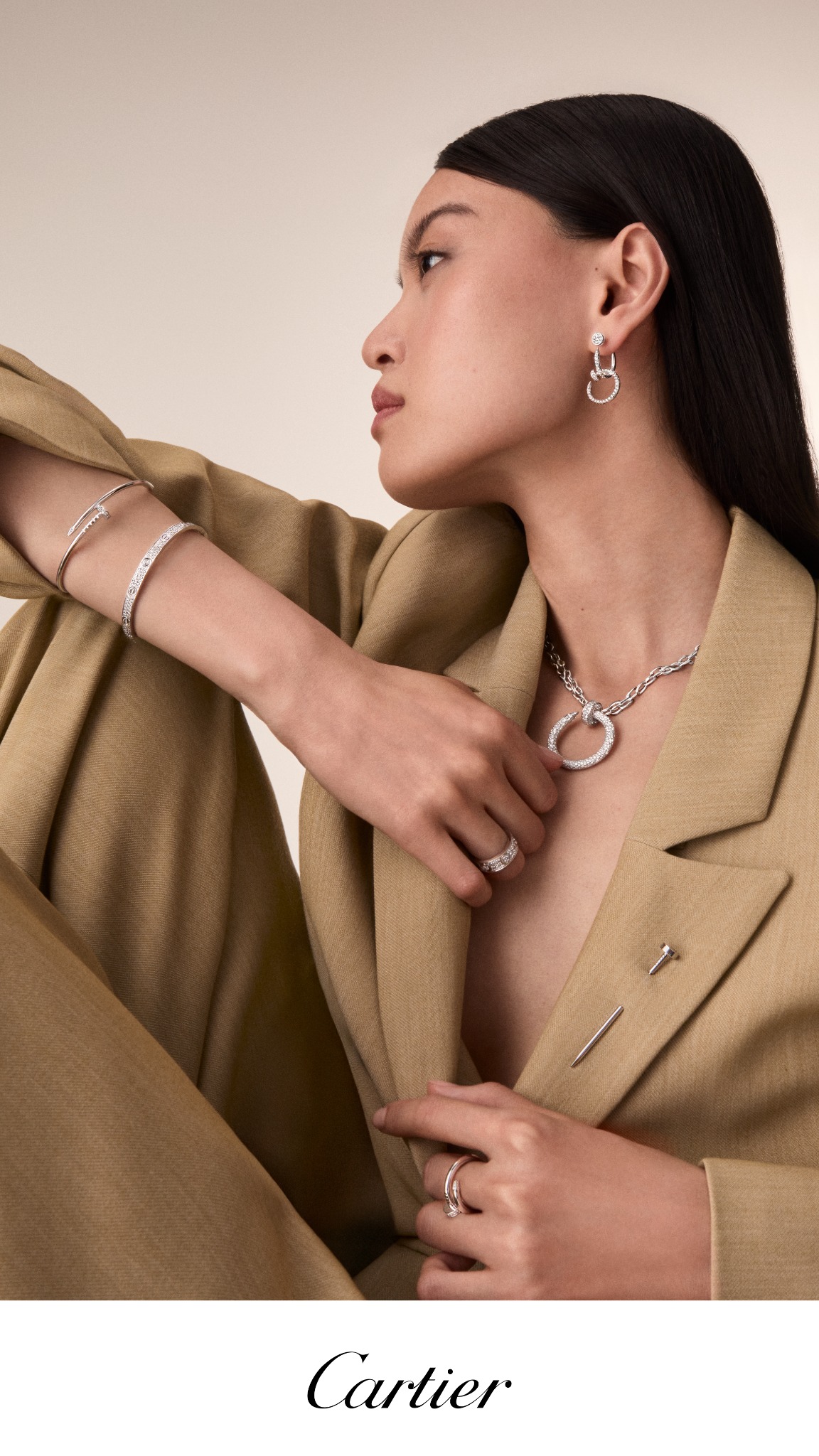 Cartier Facebook ad