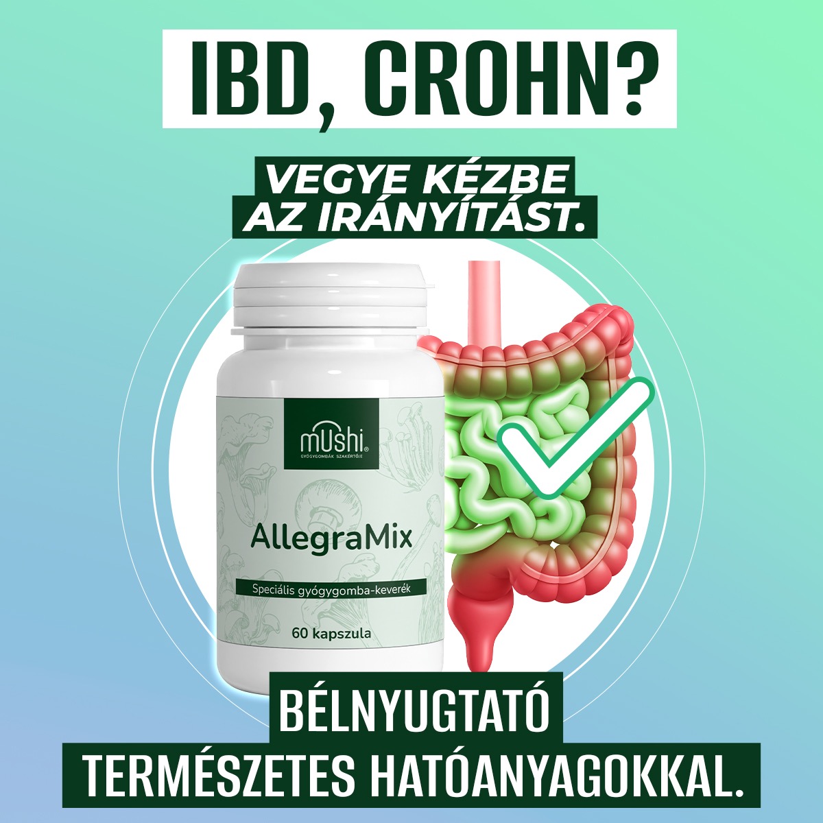 Mushi HU Facebook ad: Gyulladások, allergia, emésztési zavarok? Itt a…