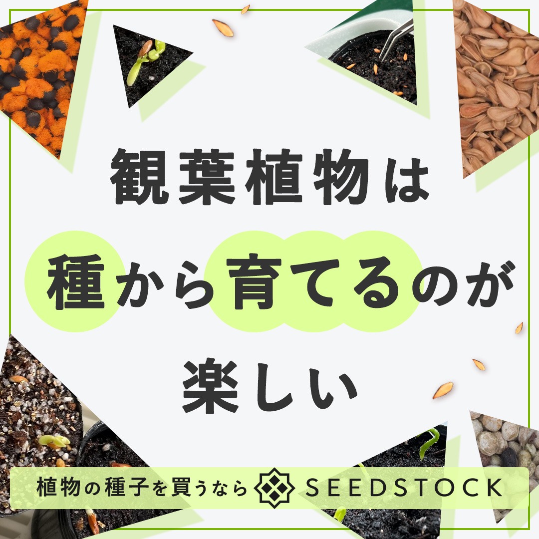 Seedstock Facebook ad from May 27, 2026
