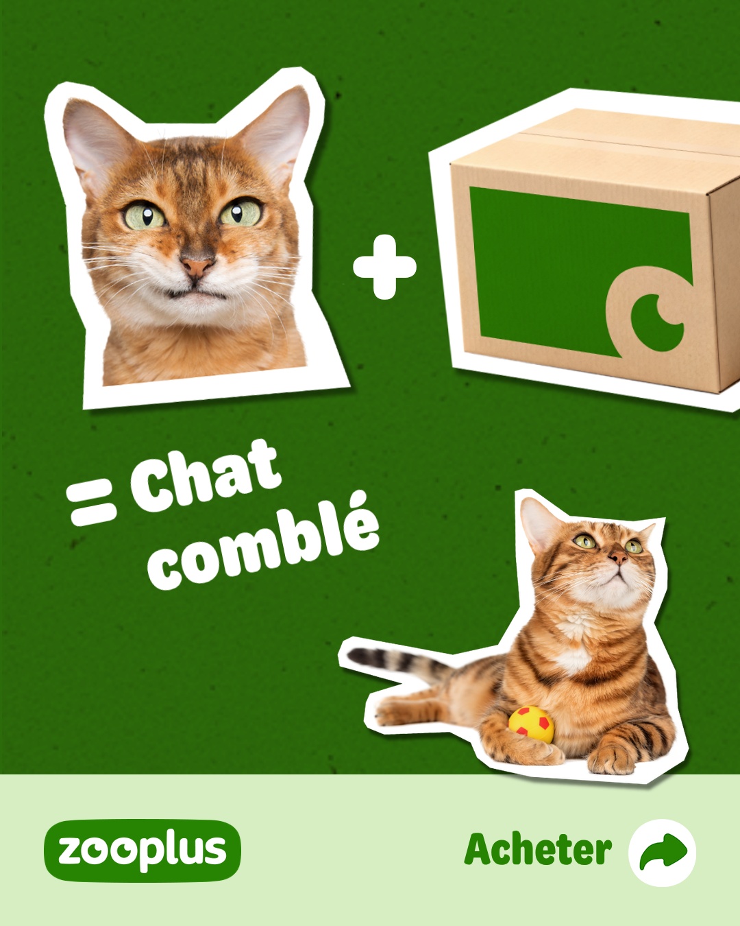zooplus Facebook ad