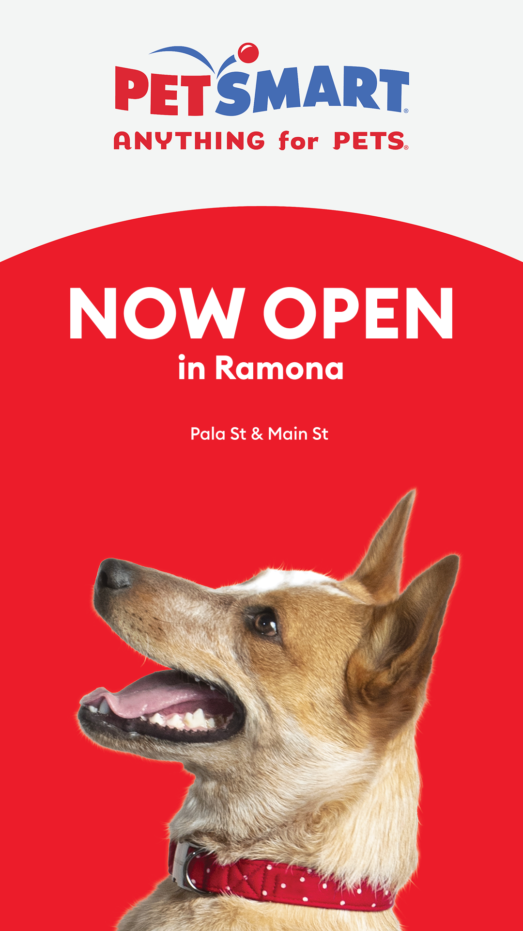 PetSmart Facebook ad: New PetSmart is now open!