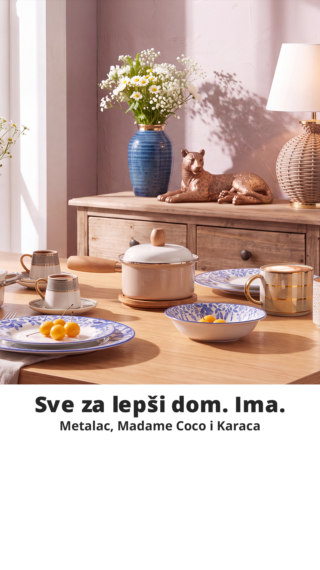 Ananas.rs Facebook ad: Dom iz snova. Ima.