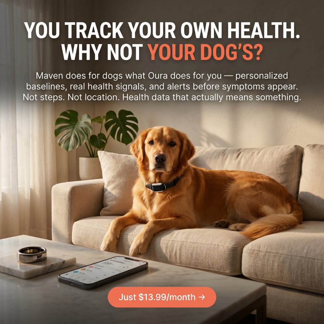 Maven Pet Facebook ad