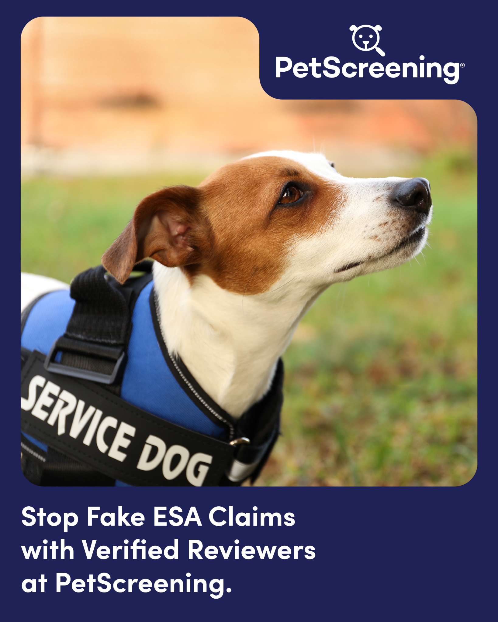 PetScreening Facebook ad