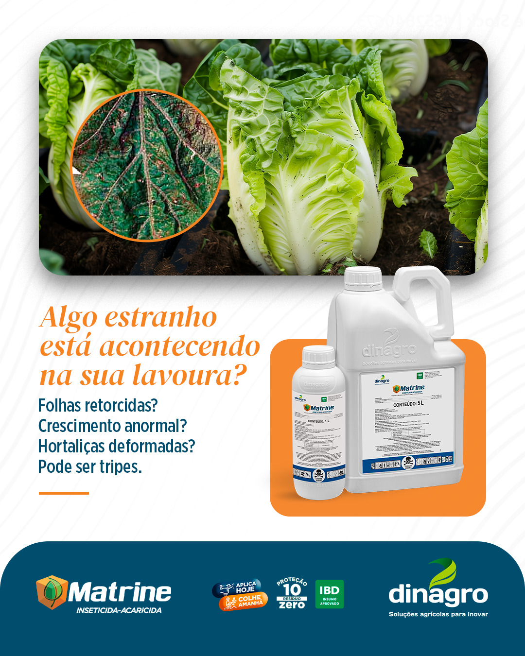 Dinagro Facebook ad