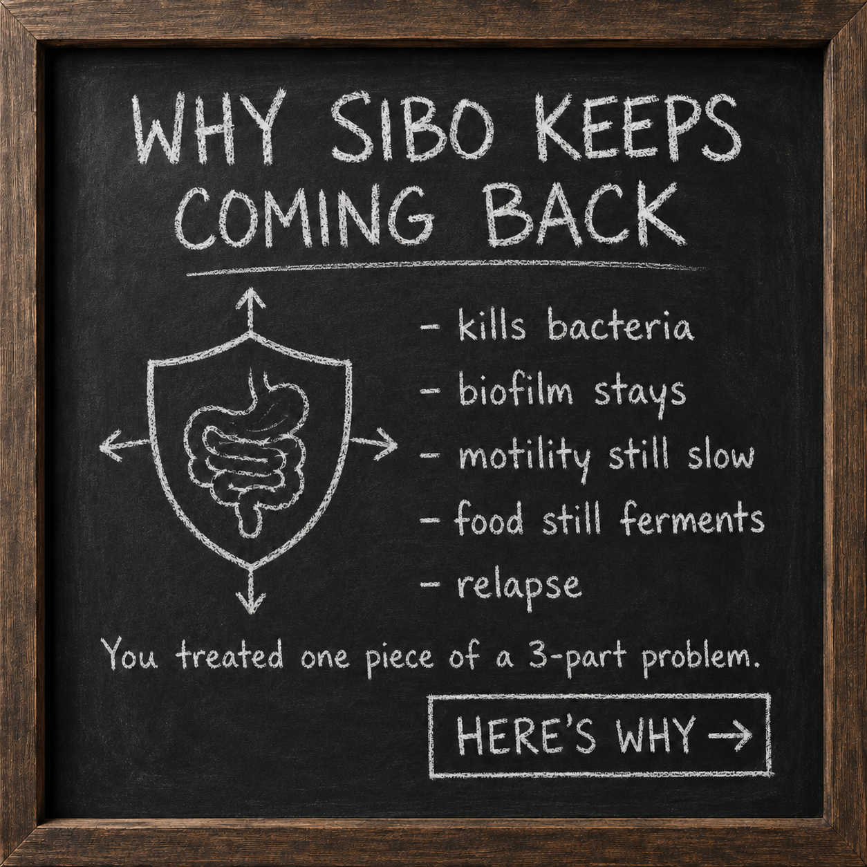 Dr. Bob Morgan Facebook ad: Support Digestion Naturally