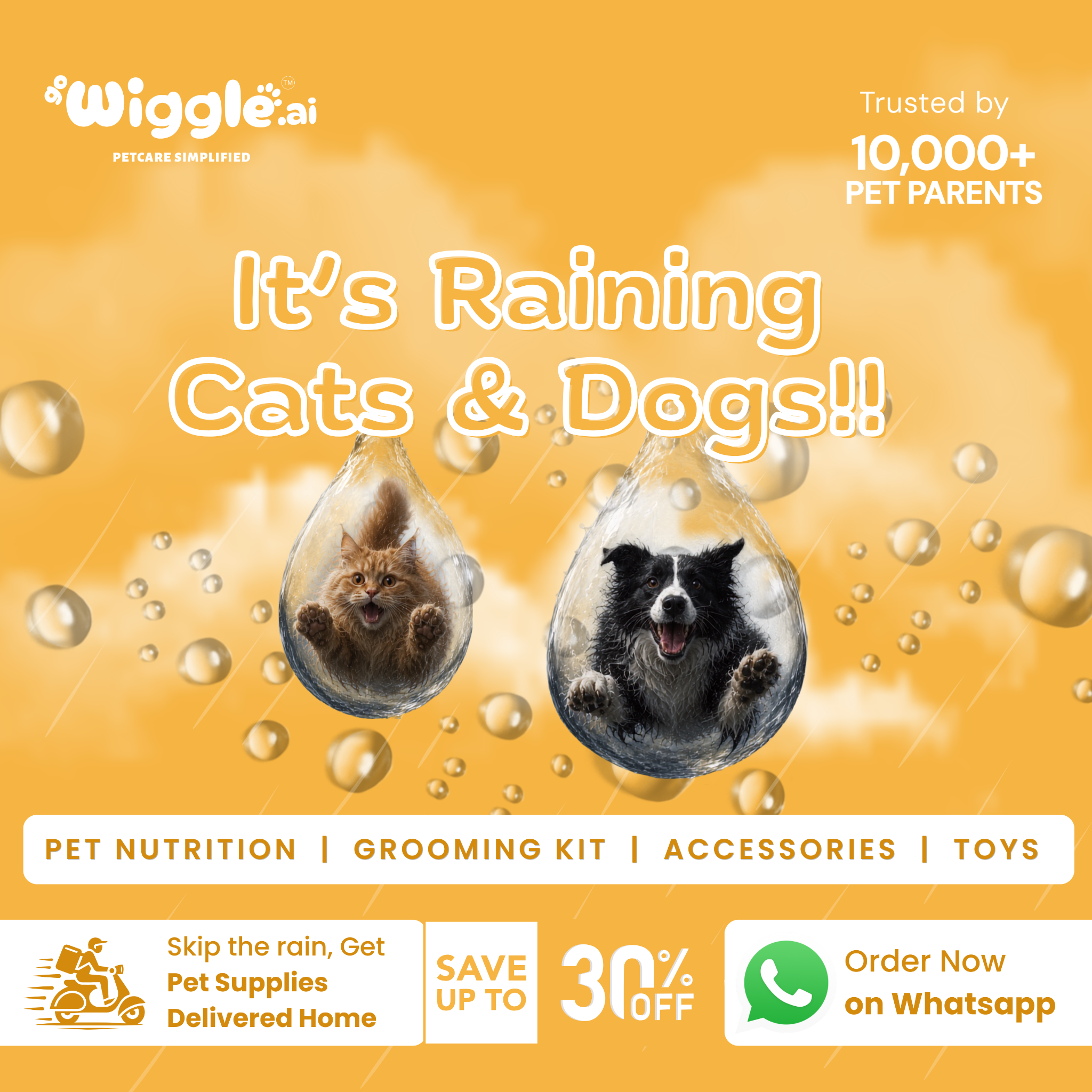 Gowiggle.AI Facebook ad