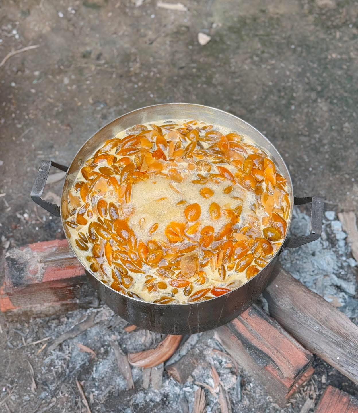 Dziễm Hương: Kombucha - Kefir & Organic Food Facebook ad