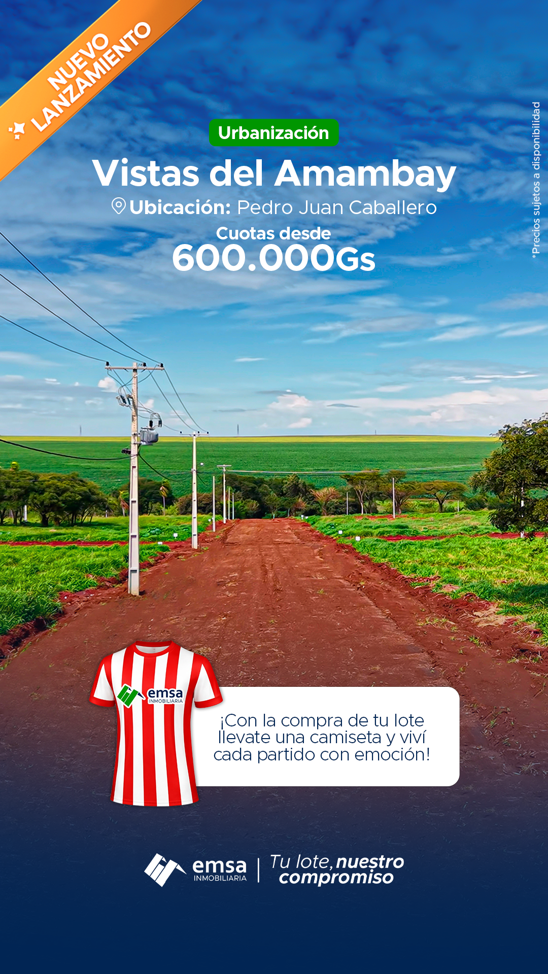 Emsa Inmobiliaria Facebook ad