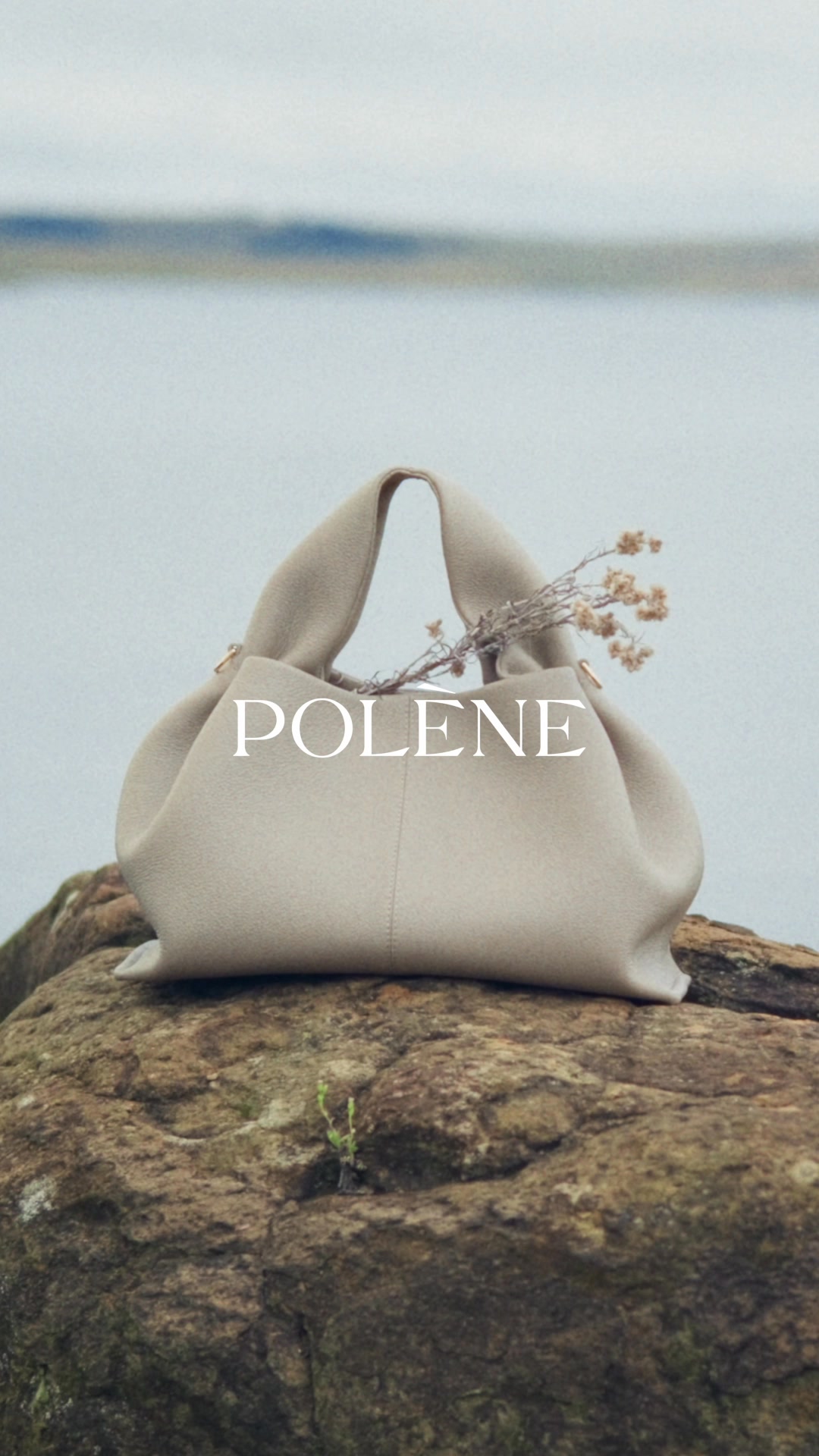 Polène Facebook ad: Discover the collection