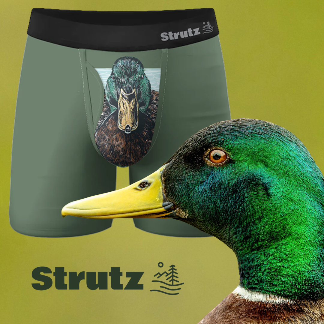 Strutz Facebook ad