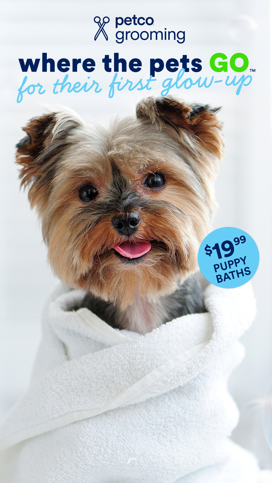 Petco Facebook ad