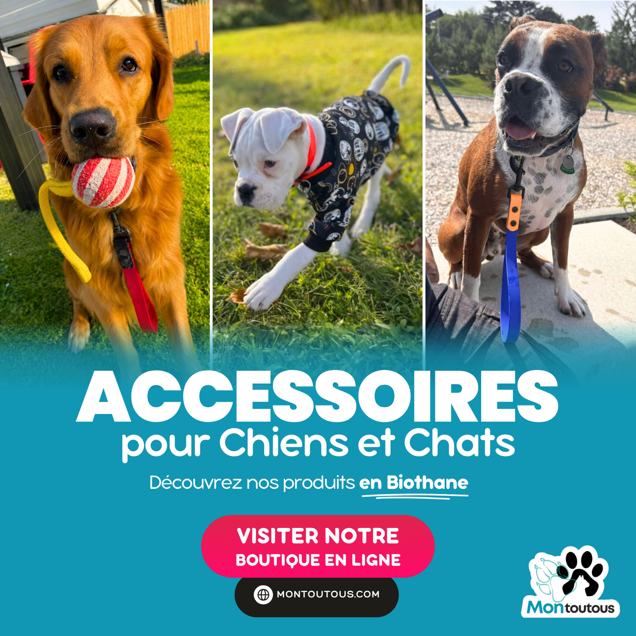 Montoutous Facebook ad: Accessoires pour chiens et chats