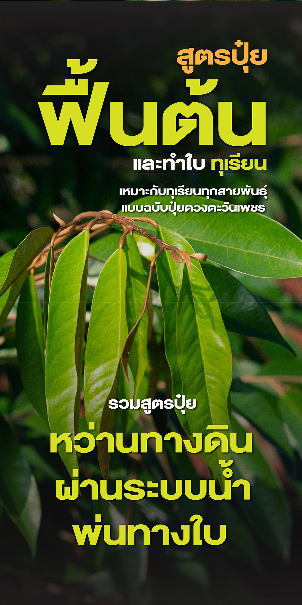 ดวงตะวันเพชร ปุ๋ยเกล็ด ปุ๋ยไฮโดรโปนิกส์ ปุ๋ยระบบน้ำหยด peatm๐ss ฮอร์โมนพืช Facebook ad